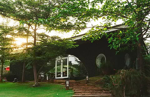 A glass treehouse suite at Amanzi