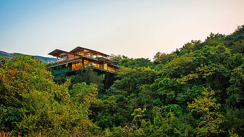 The Machan is a carbon-neutral property
