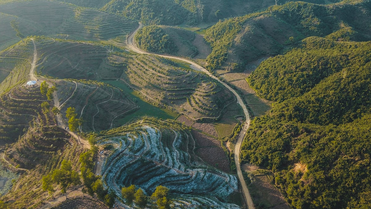 Tea gardens of Sylhet