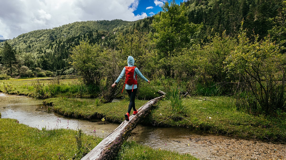 Representative Image - Shutterstock