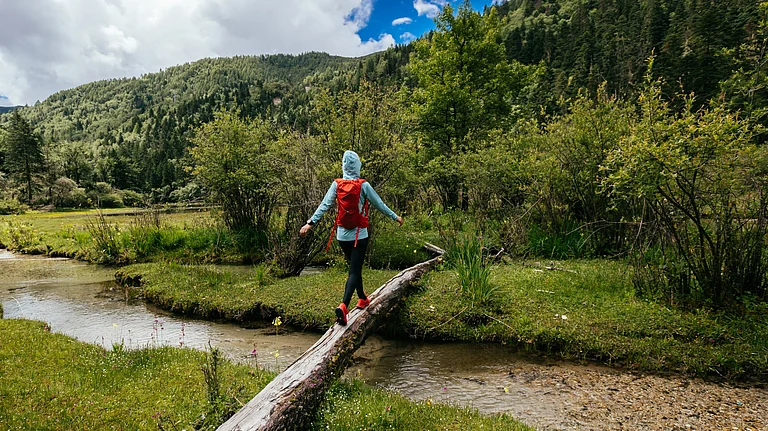 Representative Image - Shutterstock