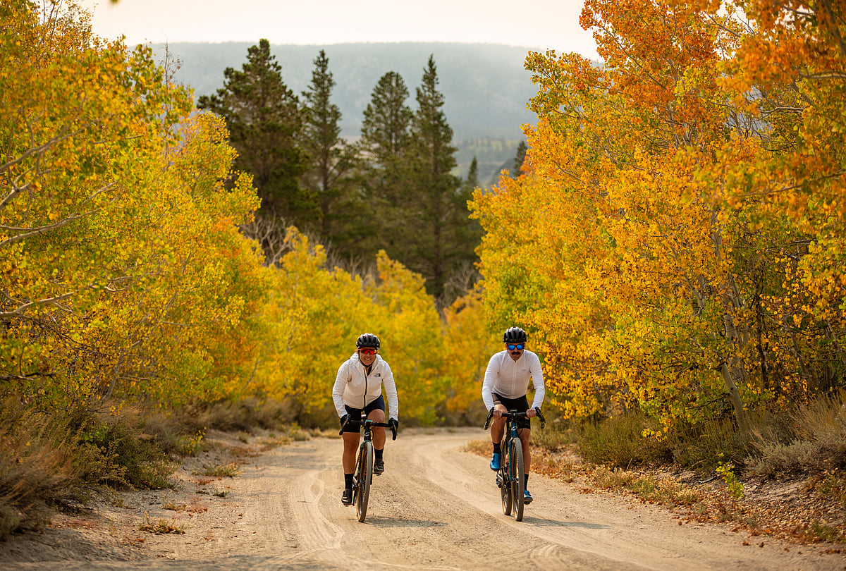The 80 mile single-track trails cuts through dense greenery 