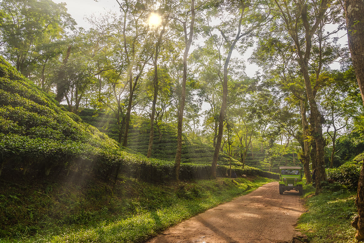 Sreemangal, Bangladesh