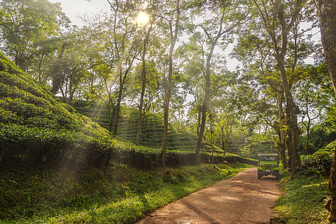 Sreemangal, Bangladesh