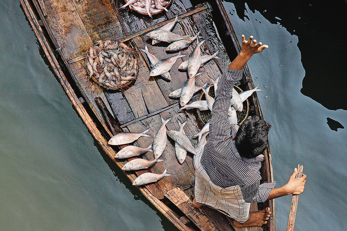 Local fishermen venture out in prime fishing season, from May to mid-October 