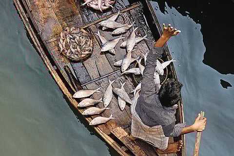 Local fishermen venture out in prime fishing season, from May to mid-October