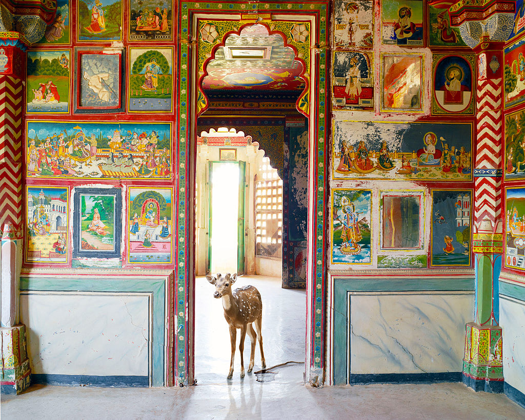 Sita’s Wish, Juna Mahal, Dungarpur 2012