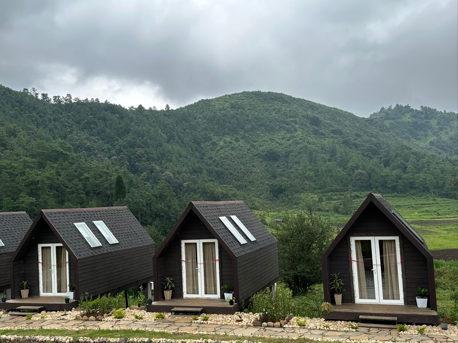 Meghalaya Tourism/Twitter : The Travellers Nest