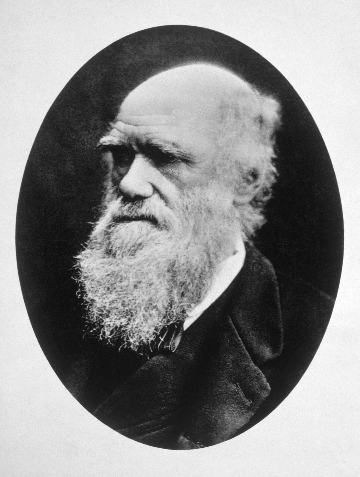 Charles Darwin, c. 1880