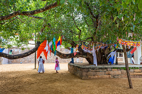 Jaya Sri Mahabodhi Temple