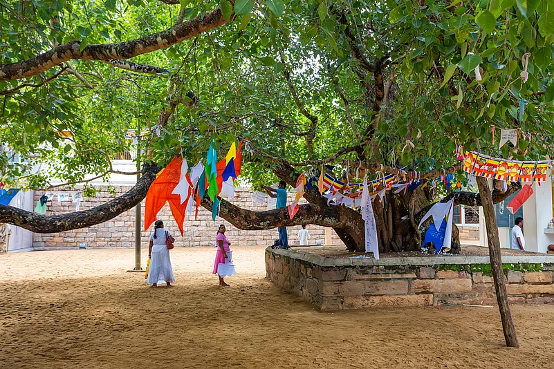 Jaya Sri Mahabodhi Temple