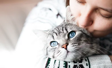 Shutterstock : Cats as pets