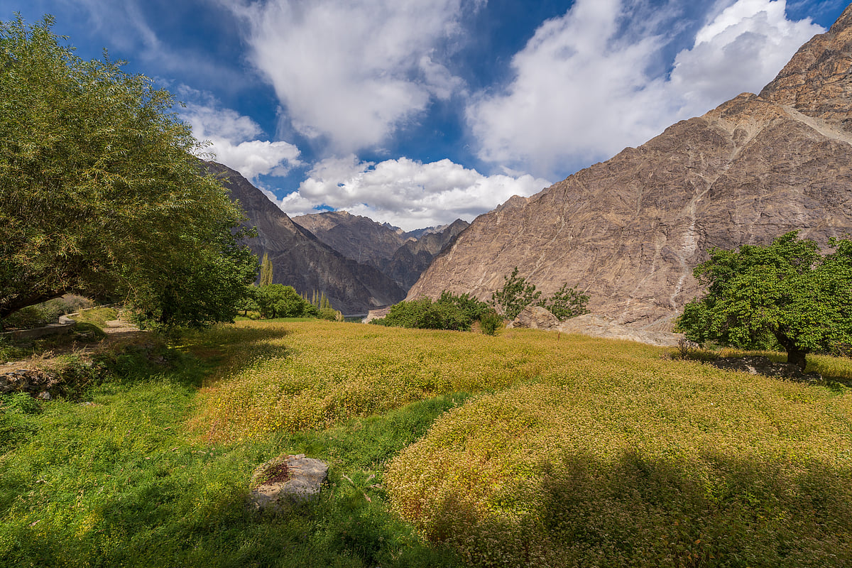 Turtuk village, Ladakh
