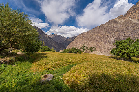 Turtuk village, Ladakh