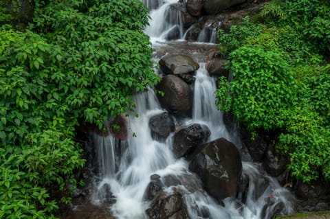 Scenic waterfall at Amboli Ghat, Goa-Kolhapur road