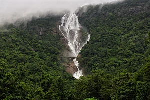 Shutterstock : Dudhsagar Falls