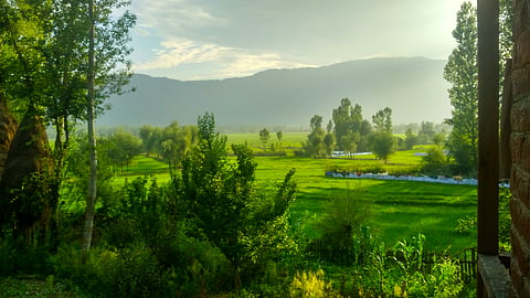 A morning scenery in Lolab Valley