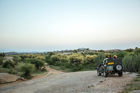 On a jeep safari from SUJAN Jawai
