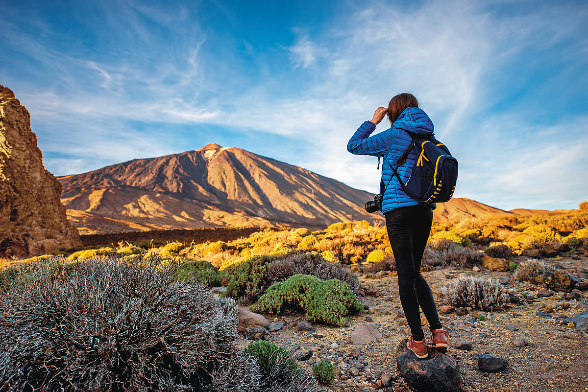 Photo: Shutterstock : Teide National Park is characterised by jagged, rust-coloured rock formations
