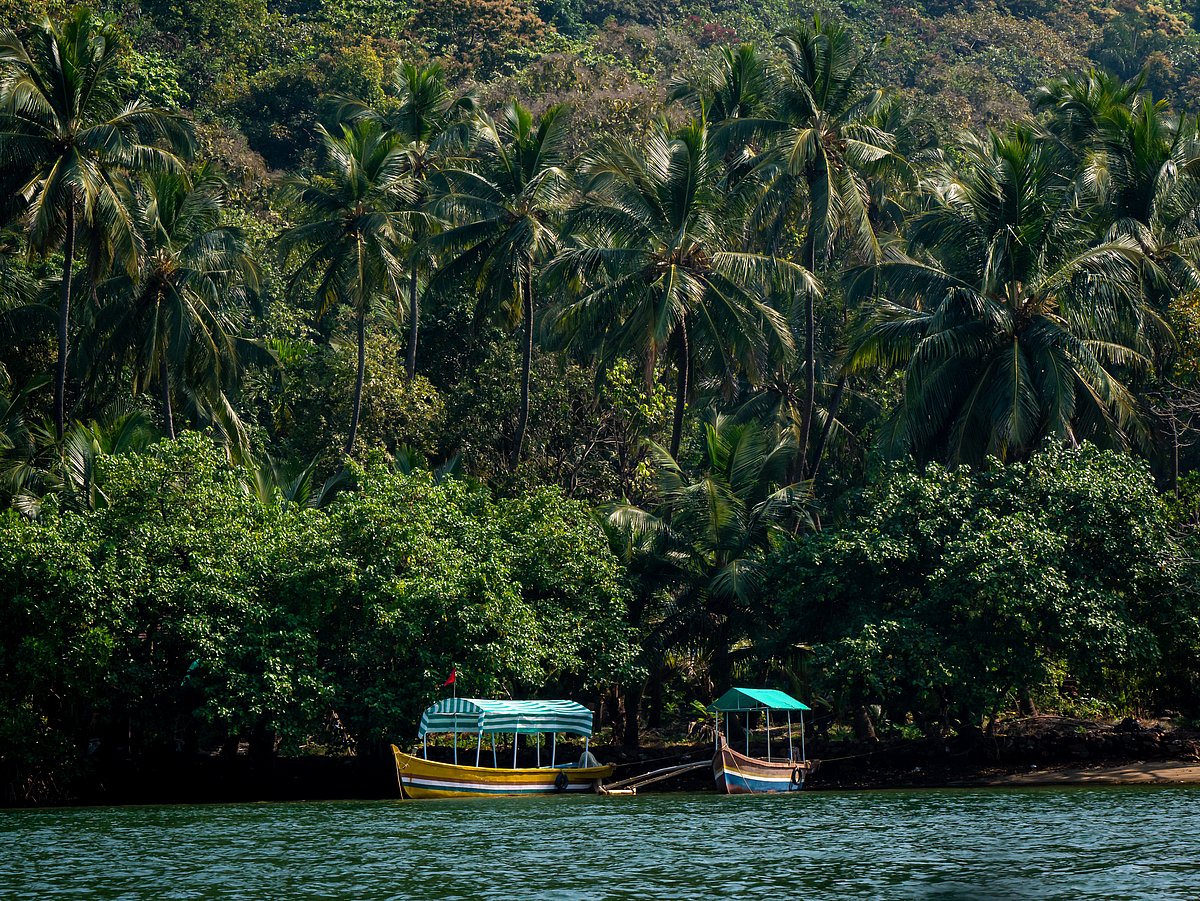 Boats docked in Devbagh
