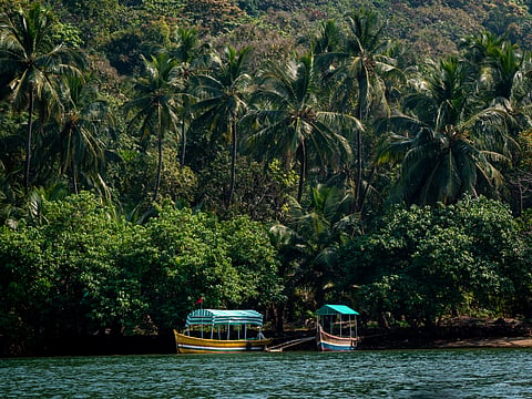 Boats docked in Devbagh