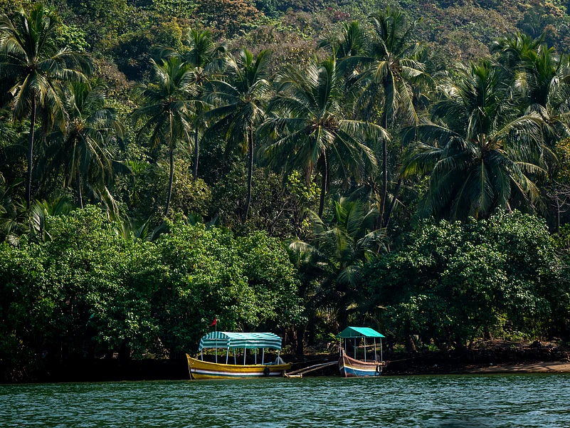 Boats docked in Devbagh