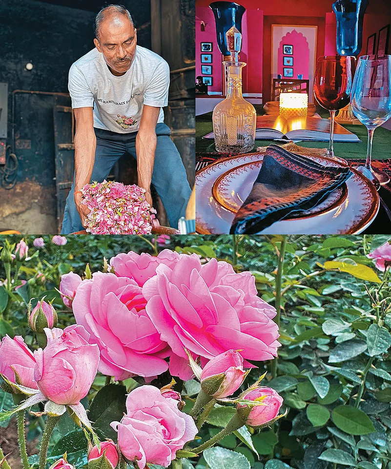 Clockwise from above left: Crushed flowers being prepared; the fragrance and flavour pairing menu at Pranav Kapoors ancestral haveli, 24 MG Road, in Kannauj; roses at a flower farm ready to be plucked to create attars