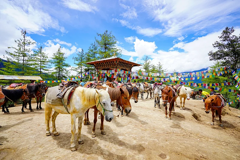 Some people take mules until the mid-way mark, where there is a cafeteria