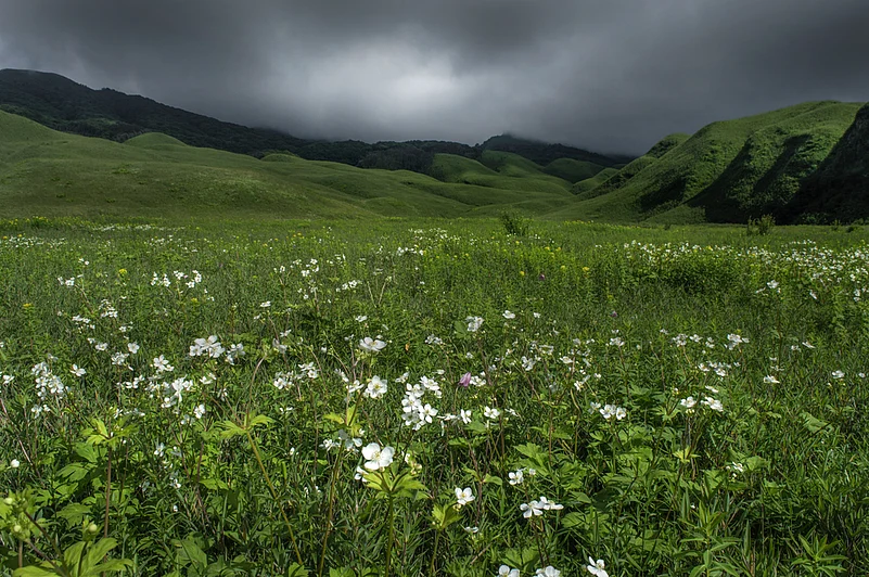 The Dzukou Valley