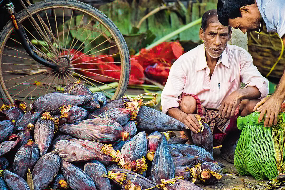 Photo: Shutterstock : Banana blossoms being sold in a market in Duttapulia, West Bengal