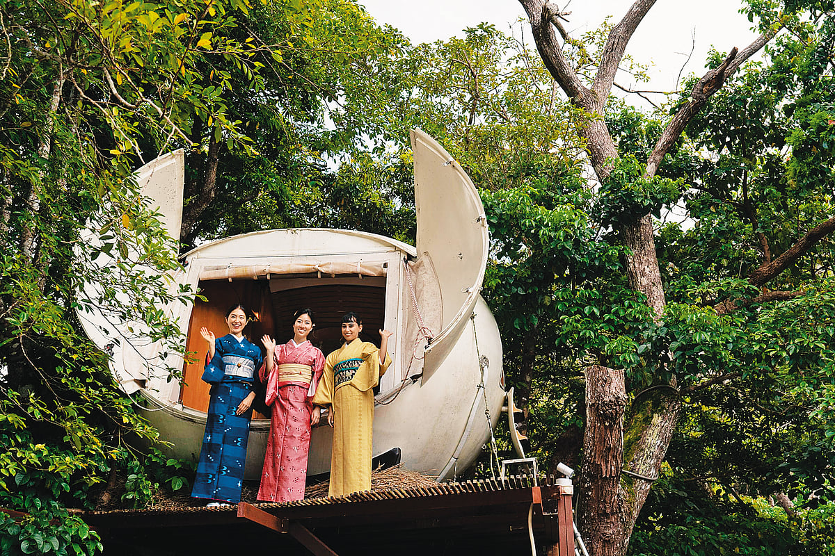 Treeful Treehouse offers a 360-degree view of the Higashi jungle