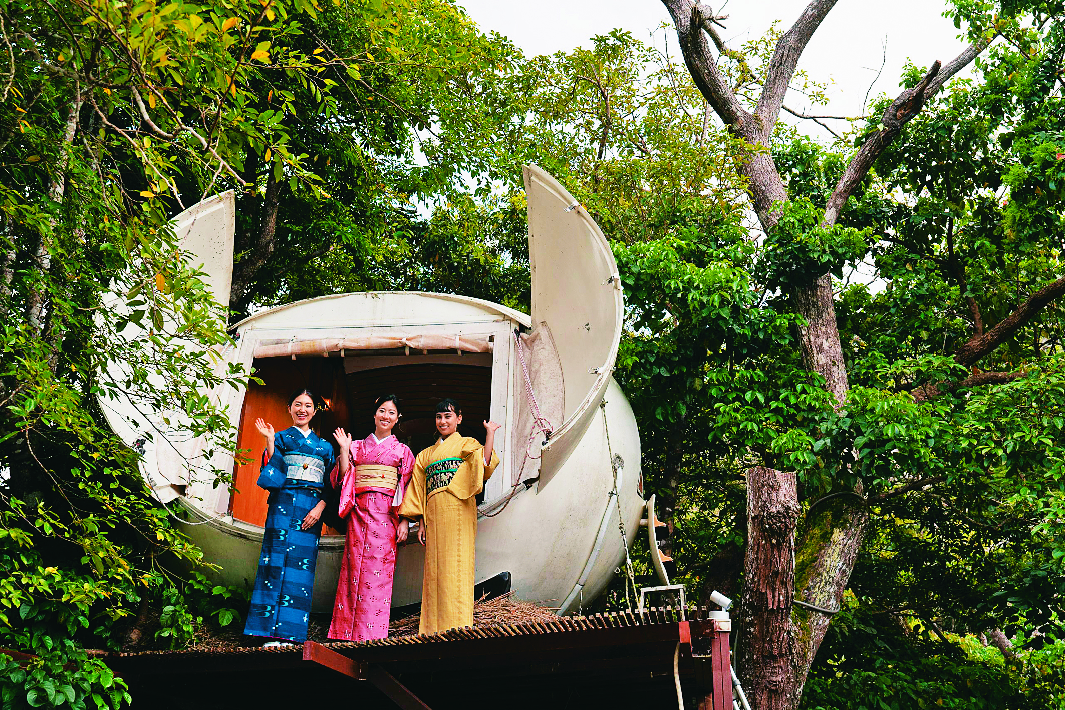 Treeful Treehouse offers a 360-degree view of the Higashi jungle