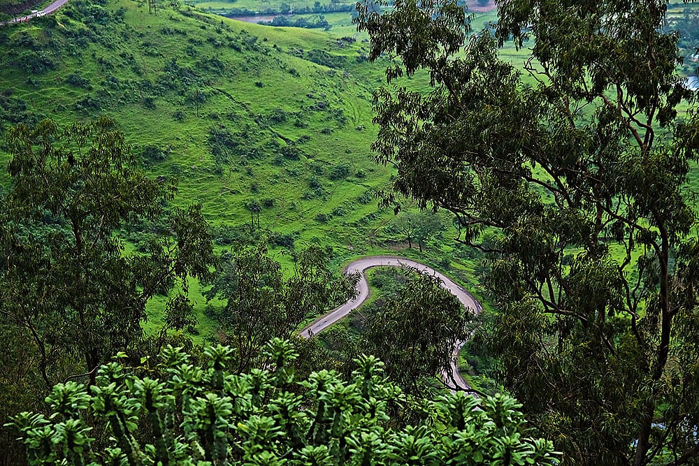 The road from Pune to Malshej Ghat is an explosion of green 