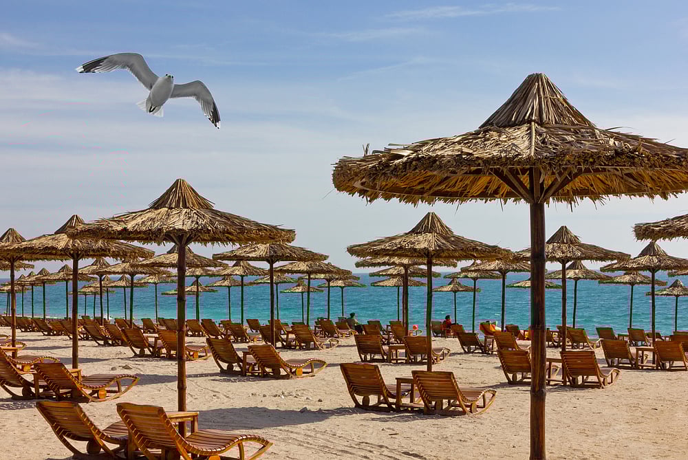 Sir Bani Yas island
