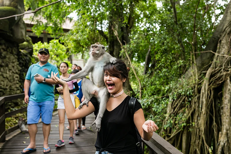 A monkey on a woman in Bali