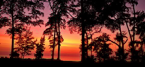 Sunset at Dahanu Beach Park