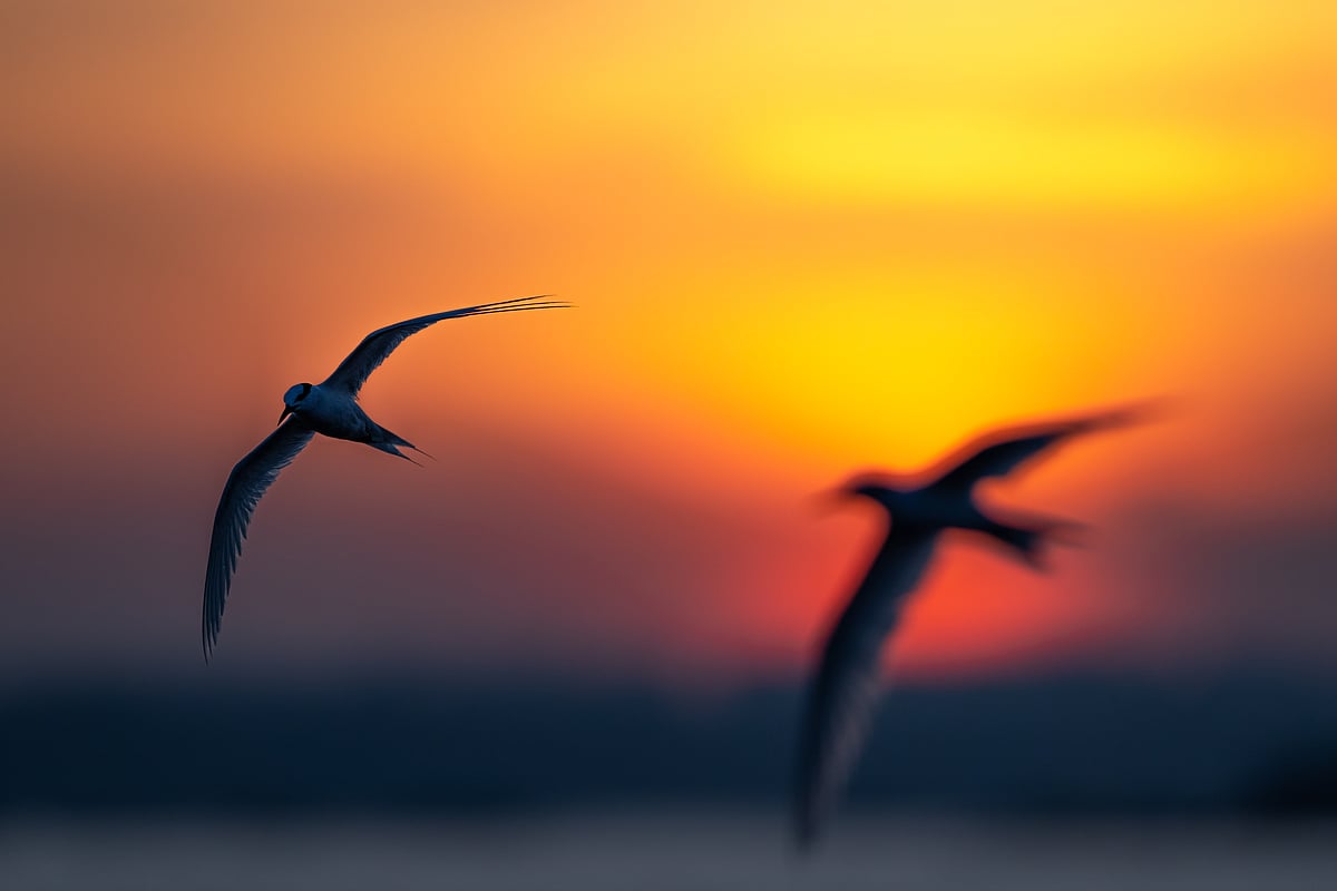 A dramatic shot at dusk