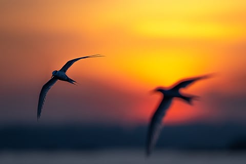 A dramatic shot at dusk