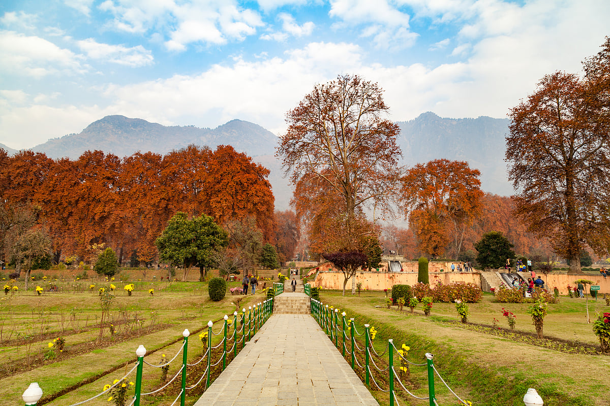 Nishat Garden
