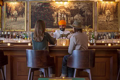 At the bar in SUJAN Sher Bagh, Ranthambhore