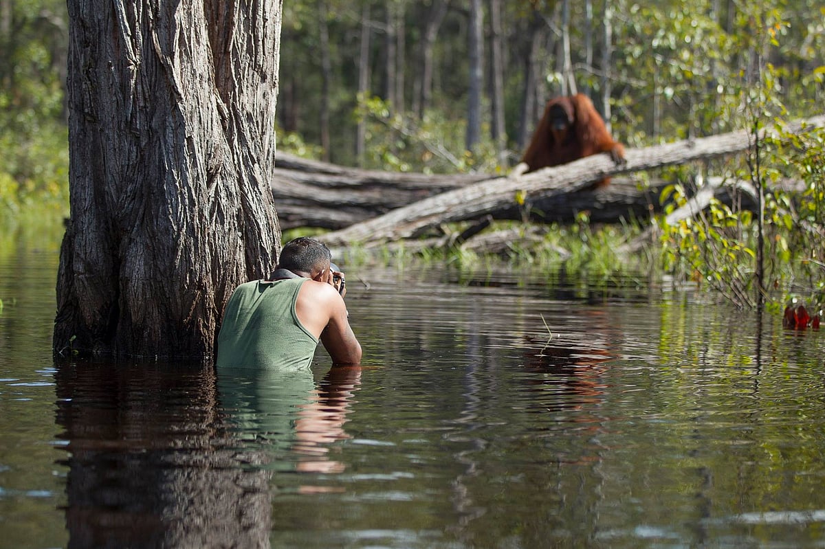 Capturing the moment