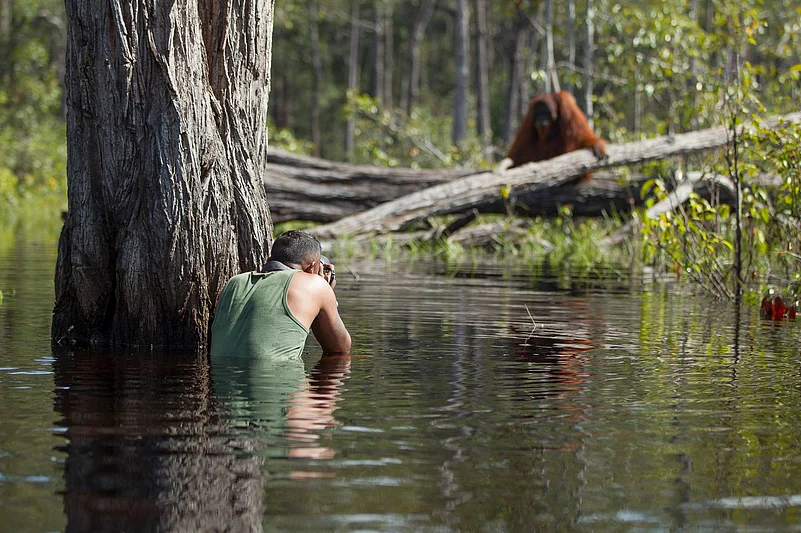 Capturing the moment