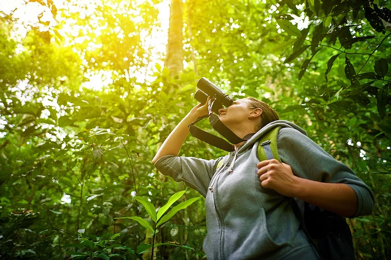 The training would aid in developing a network of volunteers to assist with bird monitoring and ringing