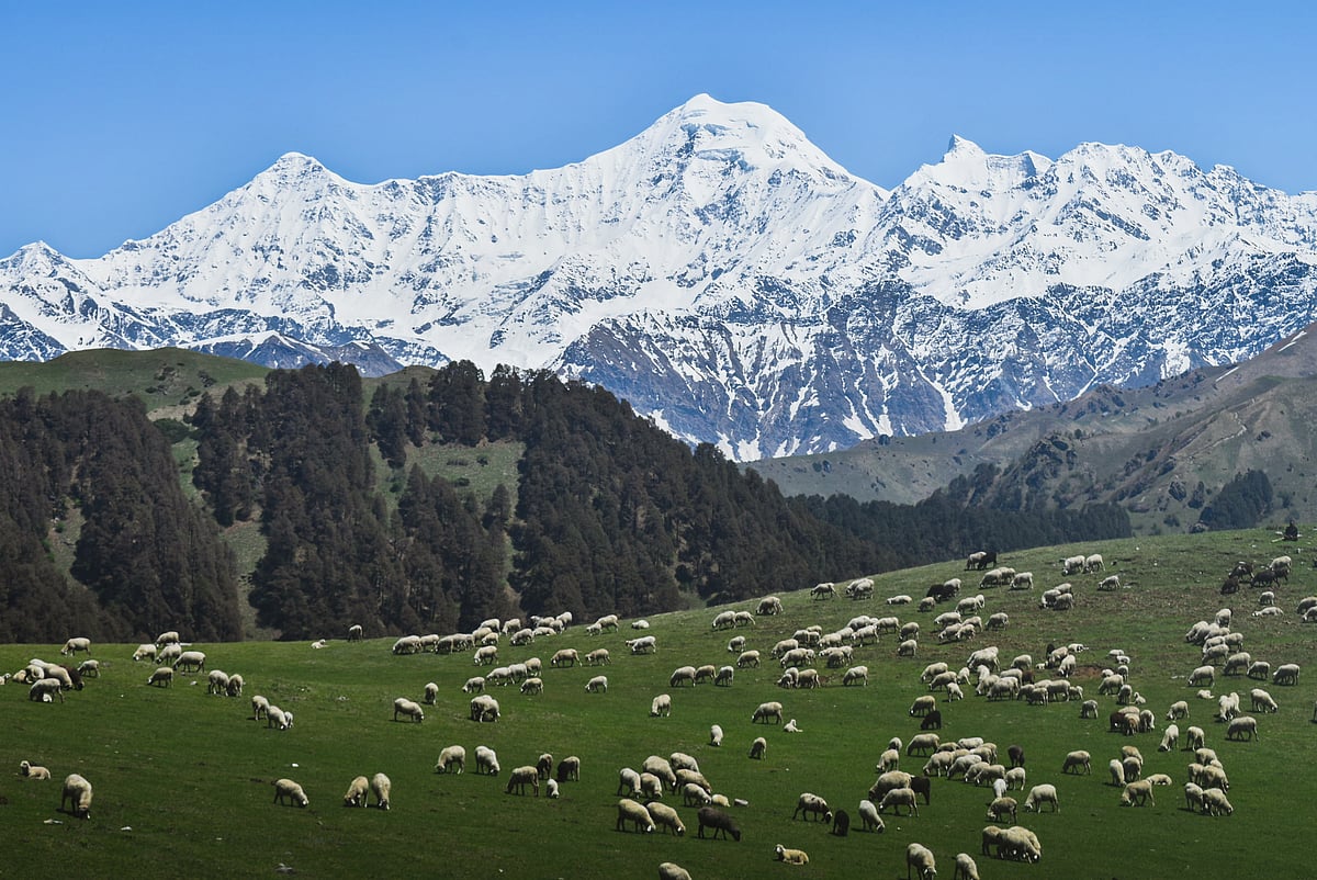 Dayara Bugyal overlooking the Himalayas