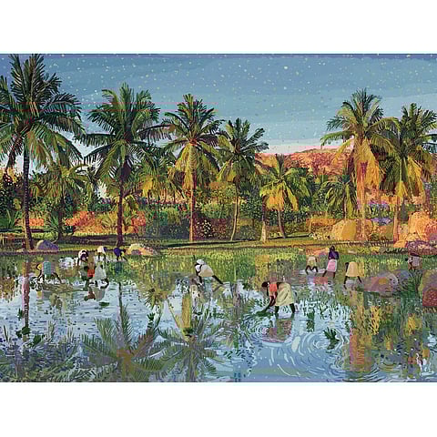 Paddy fields of Hampi