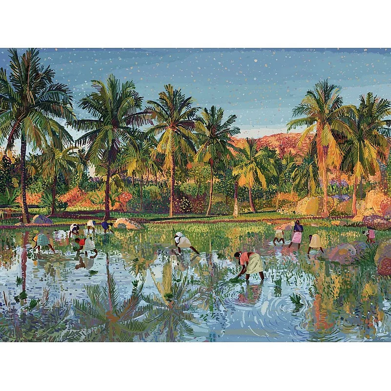 Paddy fields of Hampi