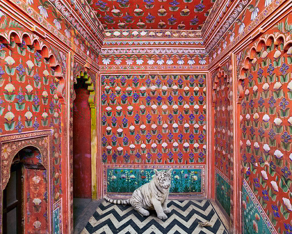 The Locust Eater, Udaipur City Palace, Udaipur 2020