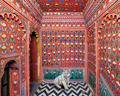 The Locust Eater, Udaipur City Palace, Udaipur 2020