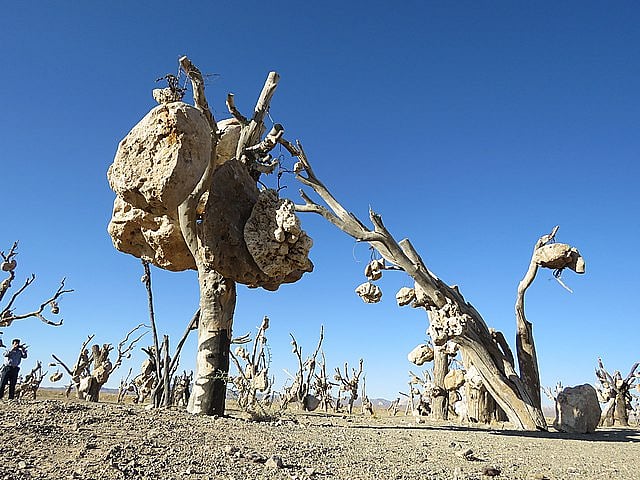  Bagh-e Sangi or the  Garden of Stones