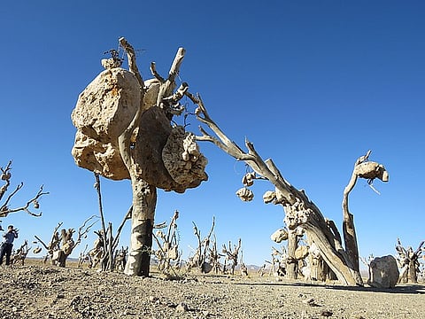  Bagh-e Sangi or the  Garden of Stones